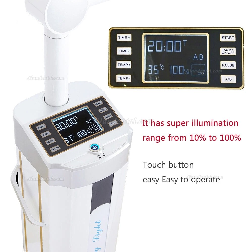 Dental Constant Temperature Portable LED Teeth Whitening Accelerator Light